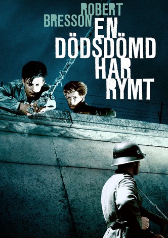 En dödsdömd har rymt