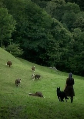 Olga e il tempo - Parte terza: Elegia della sera