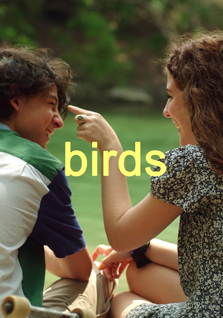 Birds