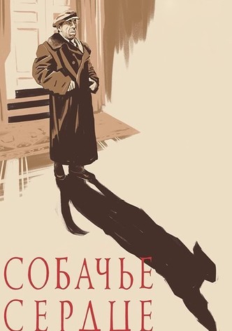 Собачье сердце