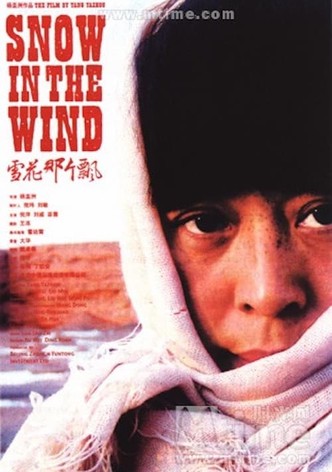 Snow in the Wind