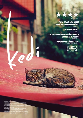 Kattfilmen