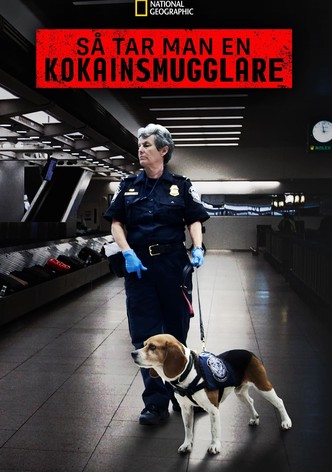 Så tar man en kokainsmugglare