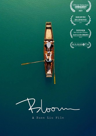 Bloom