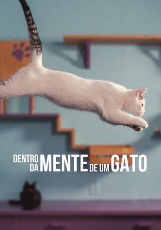 Em Que Pensam os Gatos