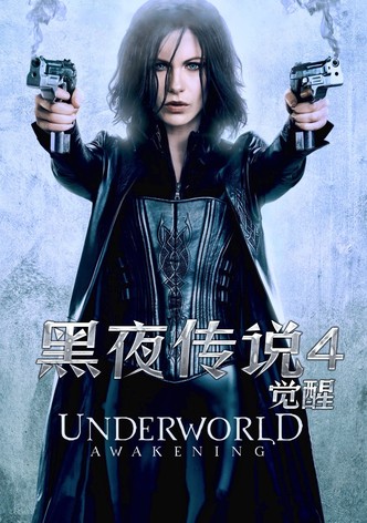 黑夜传说4：觉醒