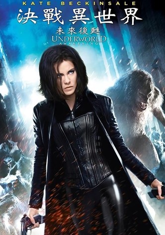 黑夜传说4：觉醒