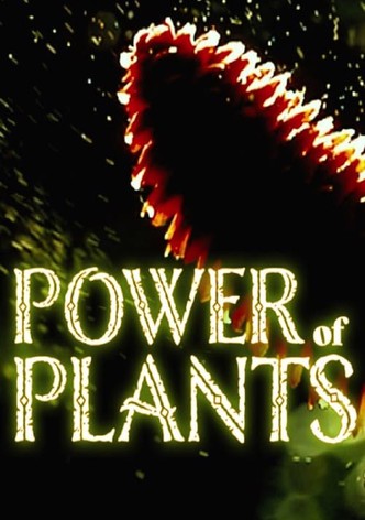 Power Of Plants