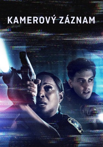 Kamerový záznam