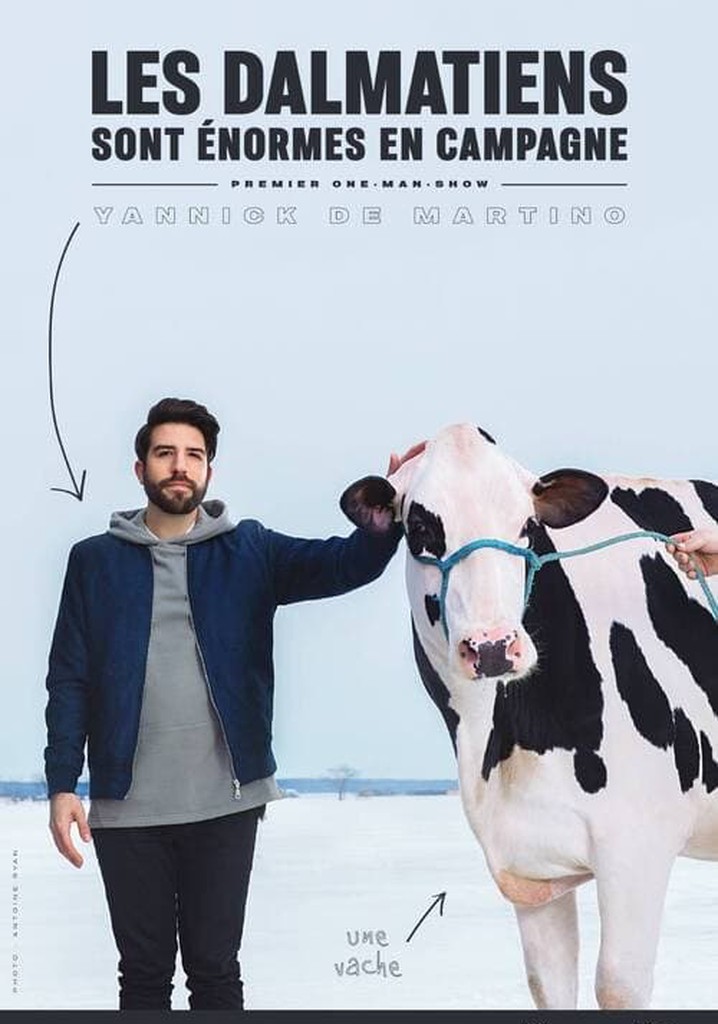 Yannick De Martino: Les dalmatiens sont énormes en campagne