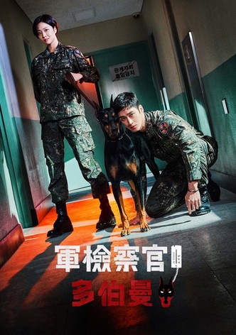 军检察官多伯曼犬