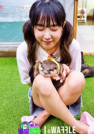 예나는동물탐정