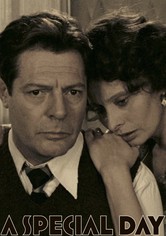 特別な一日
