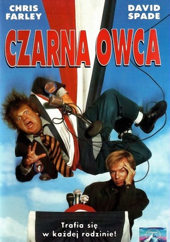 Czarna owca