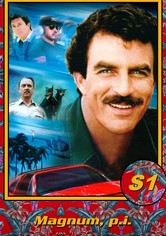 Magnum - 1. sezóna