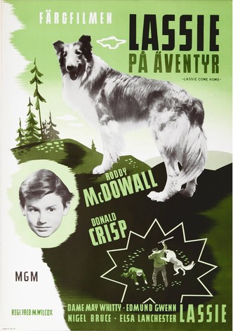 Lassie på äventyr