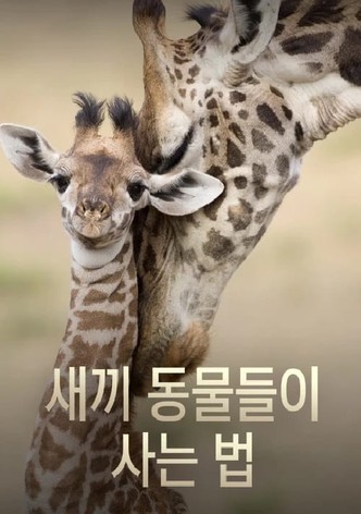 새끼 동물들이 사는 법