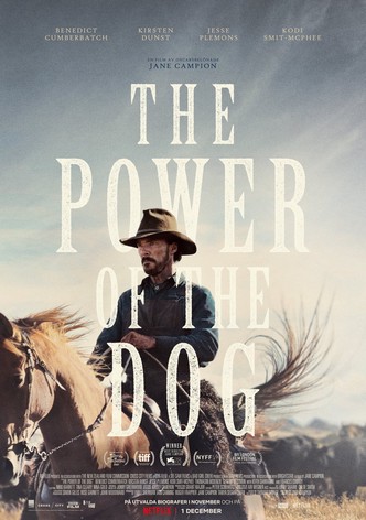 The Power of the Dog