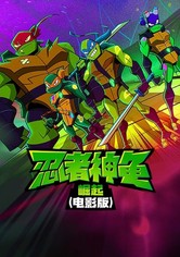 忍者龜之風雲再起電影版