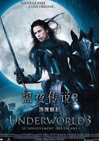 黑夜传说3：狼族崛起