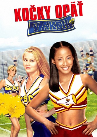 Kočky opäť v akcii