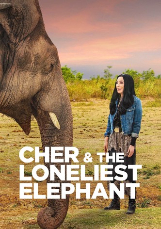 Cher y el elefante solitario