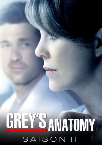 Grey's Anatomy (À coeur ouvert) - Saison 11