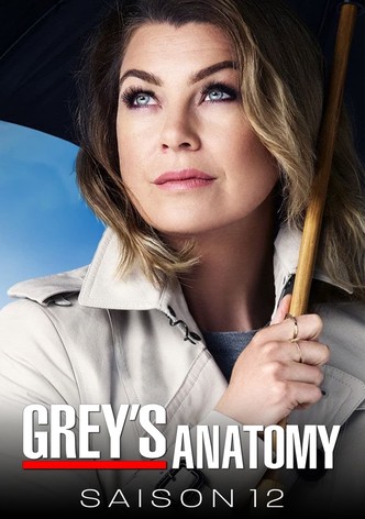 Grey's Anatomy (À coeur ouvert) - Saison 12