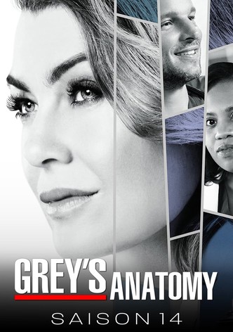 Saison 14