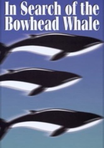 In Search of the Bowhead Whale