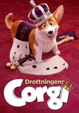 Drottningens corgi