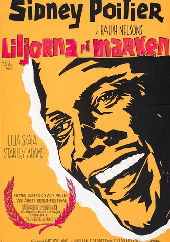 Liljorna på marken