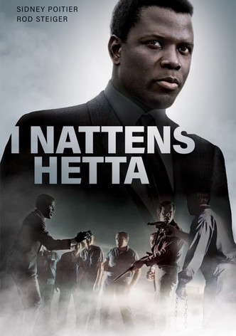 I nattens hetta