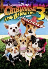 Chihuahuan från Beverly Hills 3