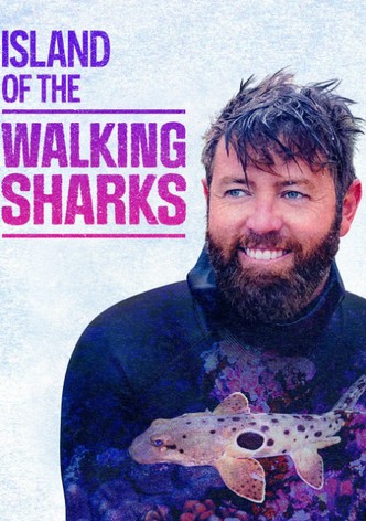 Island of the Walking Sharks