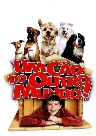 Um Cão de Outro Mundo