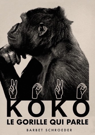 Koko, le gorille qui parle