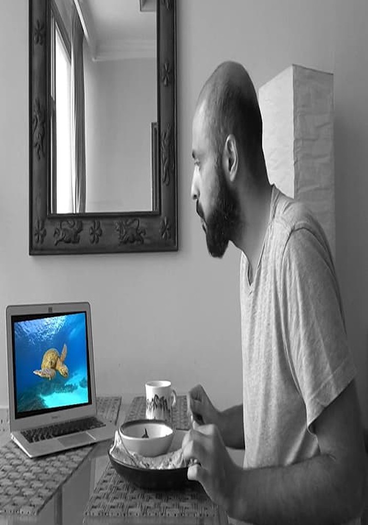 The Man Who Saw The Turtle