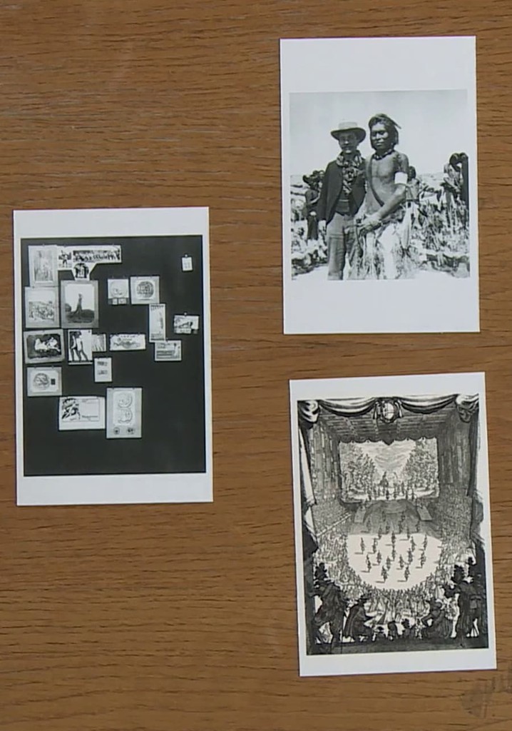 Philippe-Alain Michaud, le réel traversé par la fiction