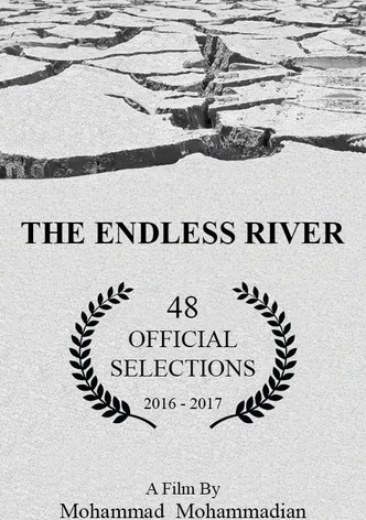 The Endless River