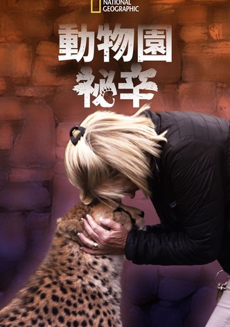 动物园秘辛