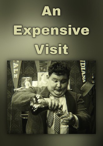 An Expensive Visit