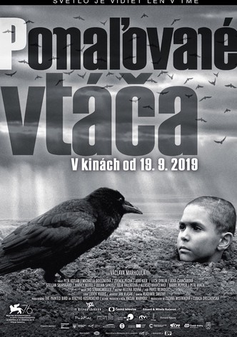 Pomaľované vtáča