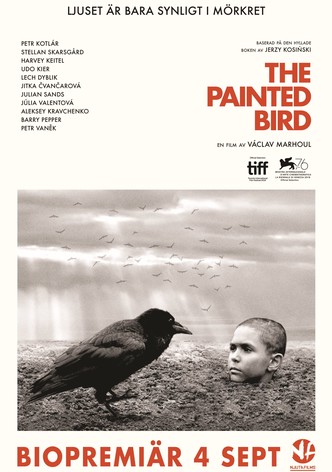 The Painted Bird