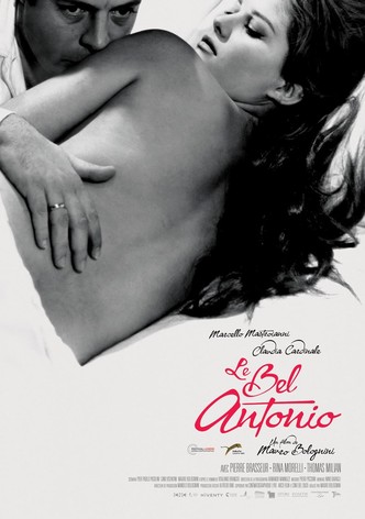Le Bel Antonio