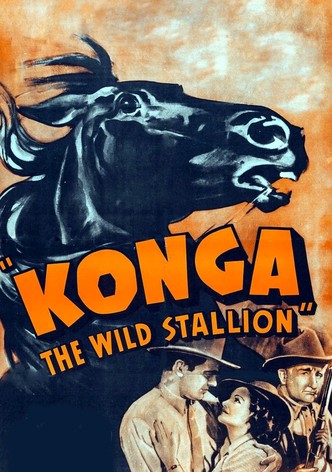 Konga, the Wild Stallion