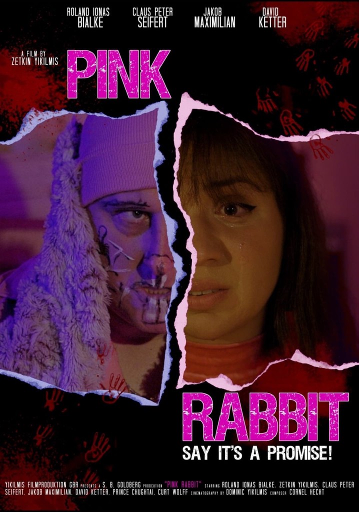 Pink Rabbit - Jamais trop ambitieux