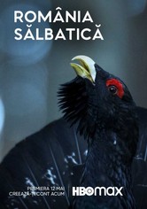 România Sălbatică