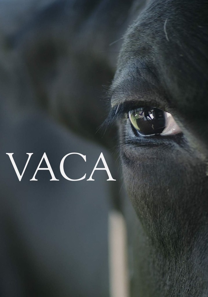 Vaca