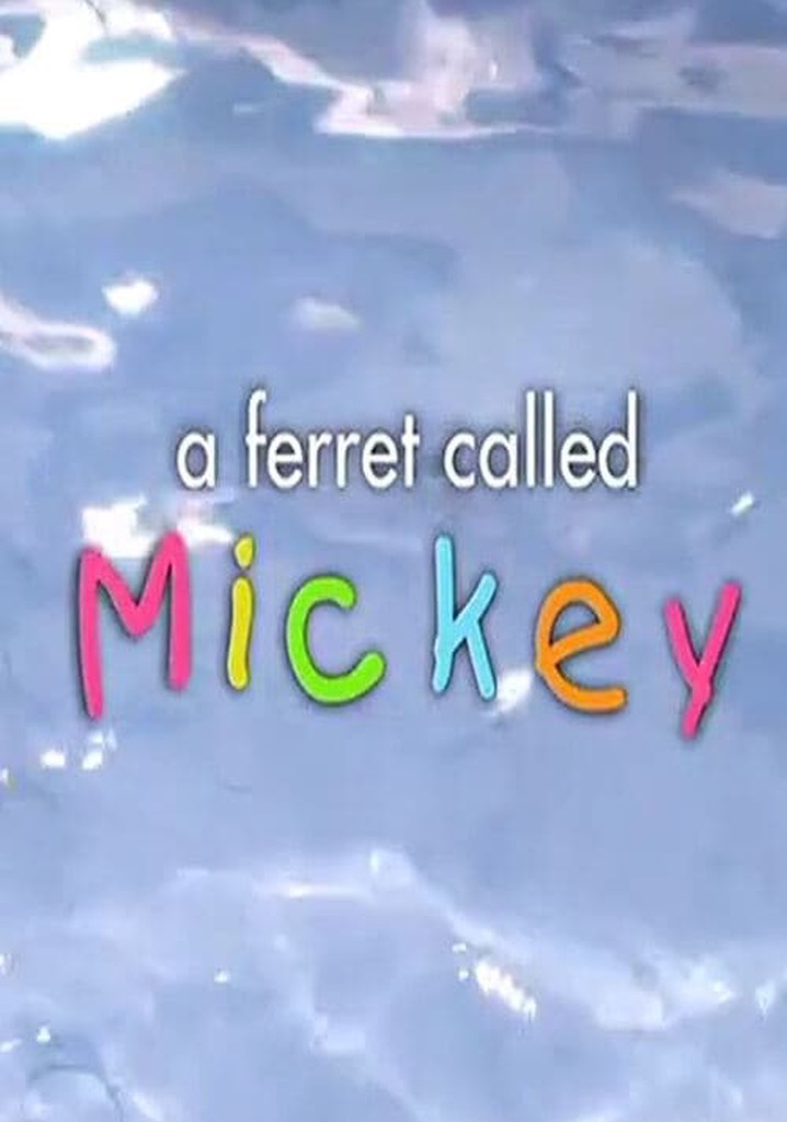 A Ferret Called Mickey